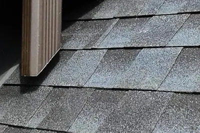 Dach-Alp Usługi Dekarskie Naprawa i Remonty Dachów